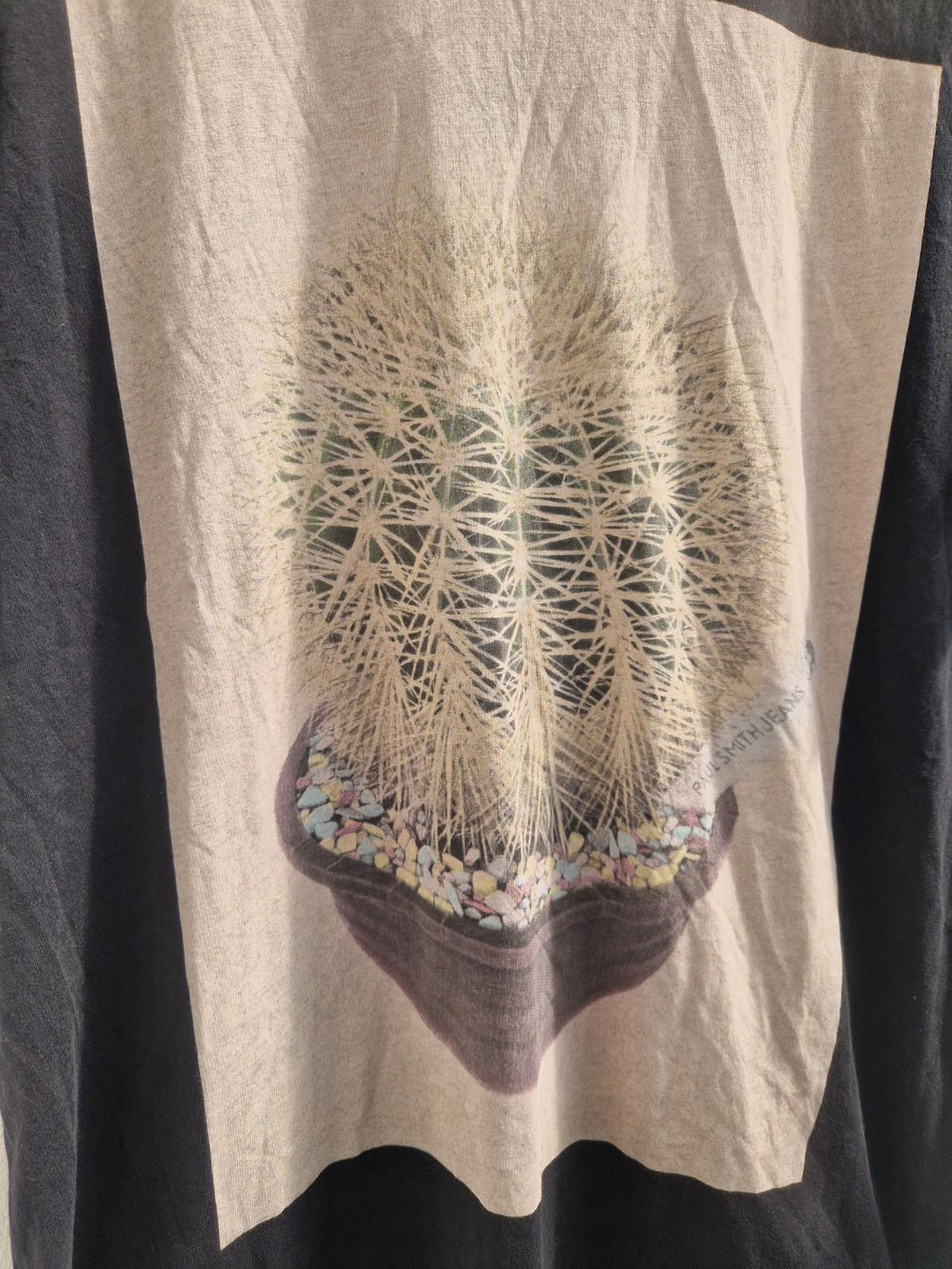 Paul Smith Cactus Print Graphic T- Shirt Made From Pima Black Cotton  Uk M Gc